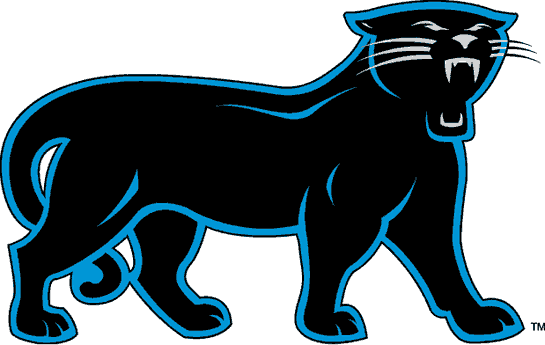 Carolina Panthers 1995-2011 Alternate Logo t shirts DIY iron ons